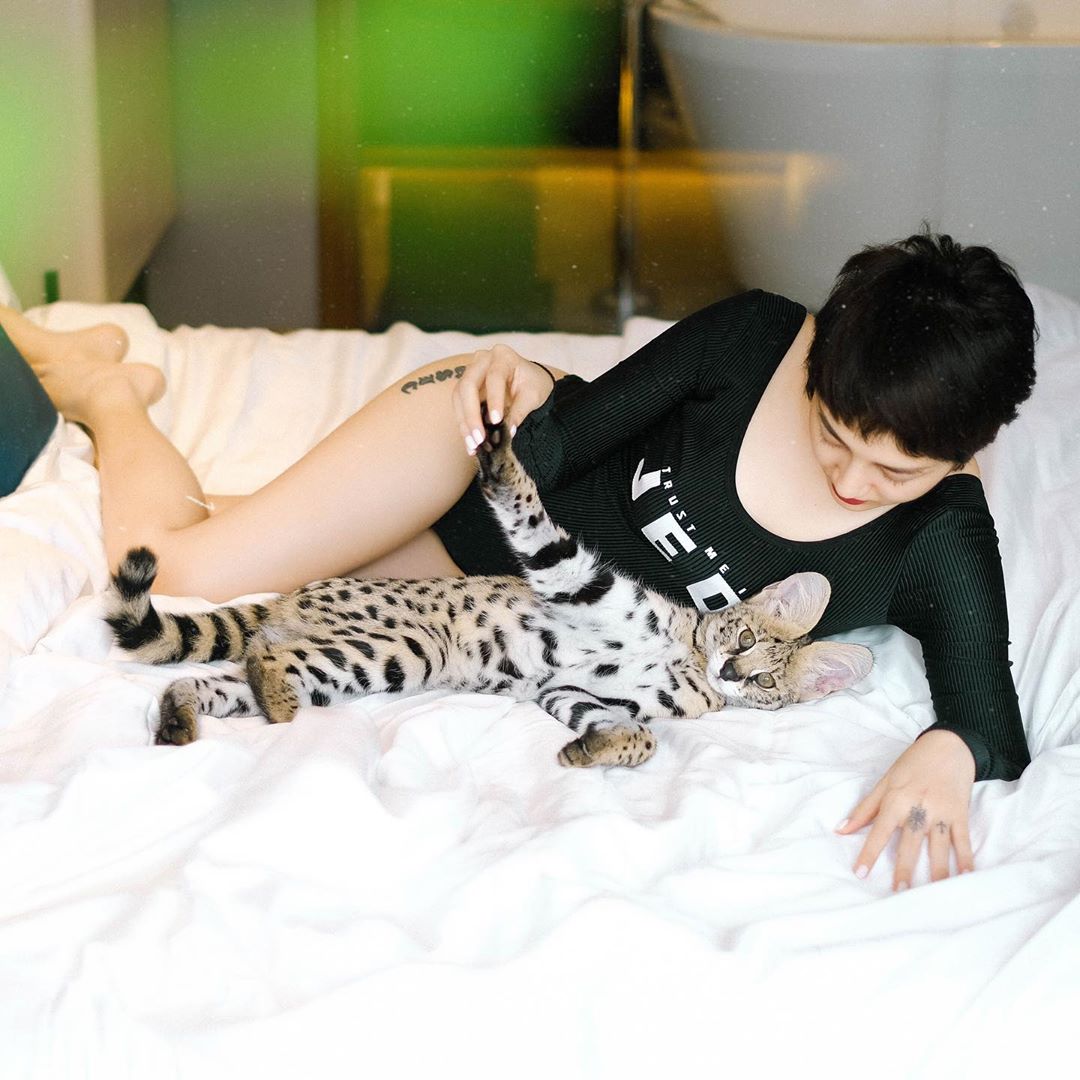 Bảo Anh lên đồ sexy đốt mắt chỉ để nằm nhà chụp hình cùng thú cưng. Bộ bodyswim màu đen kín đáo nhưng khoét hông cao phô diễn đôi chân thon dài cùng đường cong nóng bỏng của nữ ca sĩ.