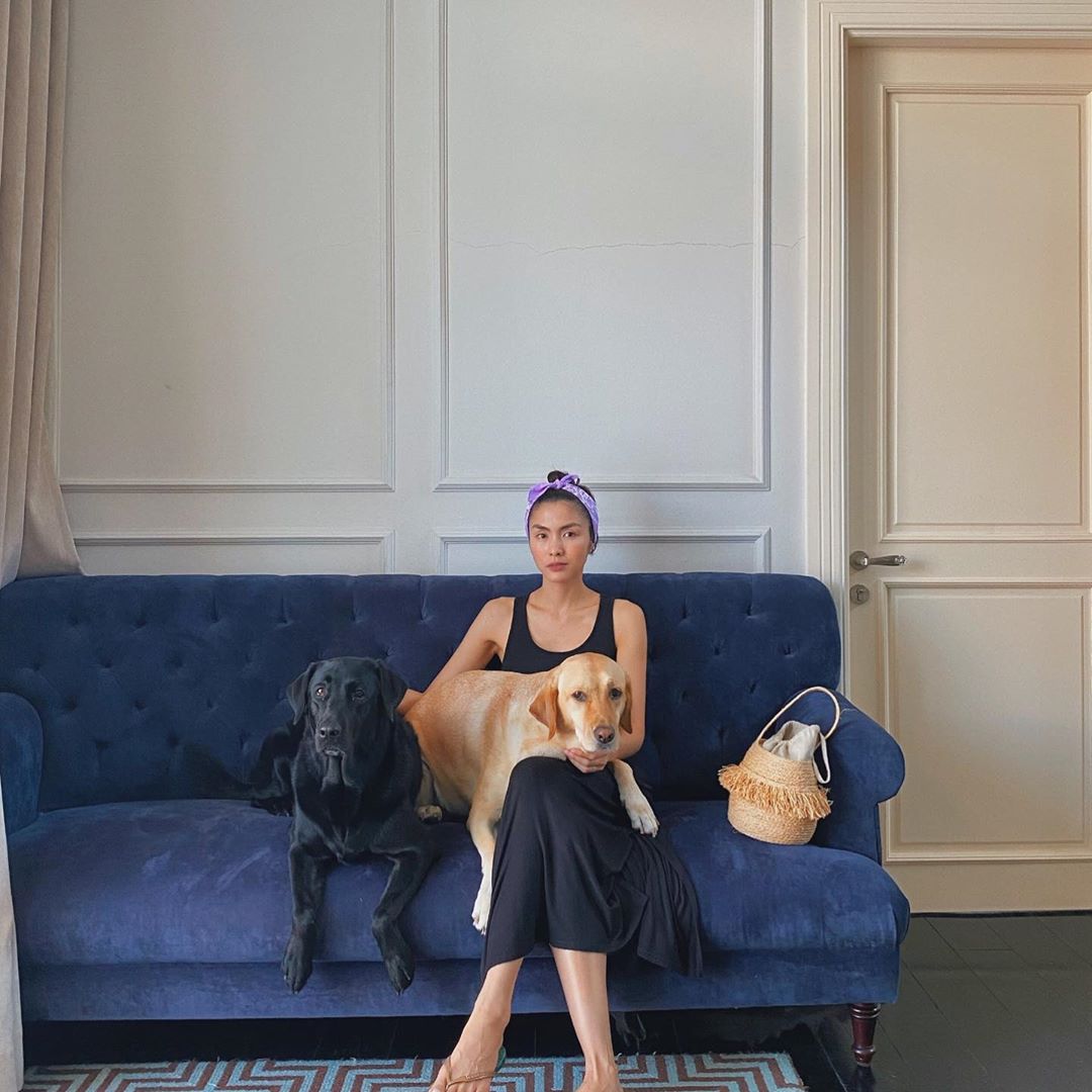 Ở nhà không ra ngoài, Hà Tăng diện váy liền màu đen nhưng không quên tô điểm cho style bằng chiếc băng đô màu tím. Không cần quá cầu kỳ cô cũng có một bức hình đẹp xuất sắc.