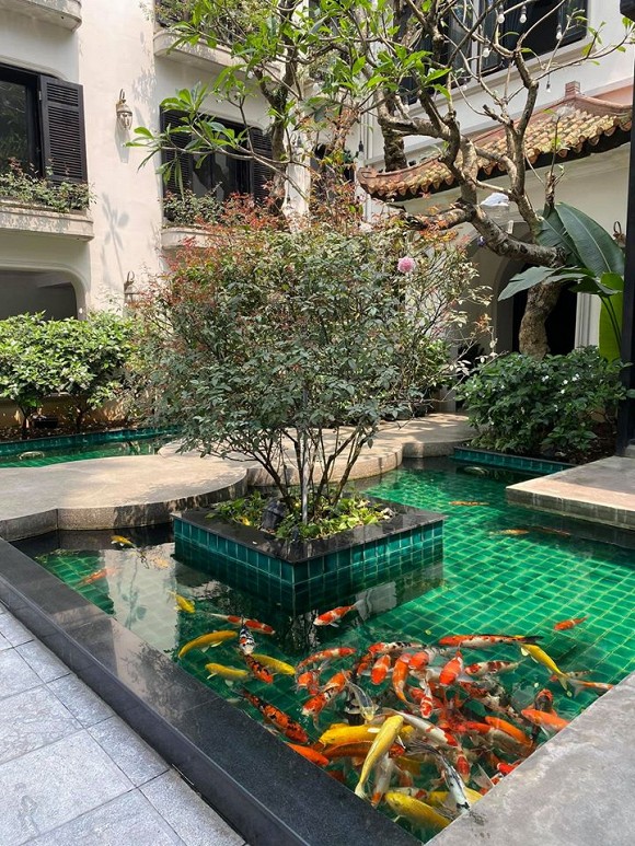 Khu sân vườn xanh mướt khiến nhiều người trầm trồ, ao ước