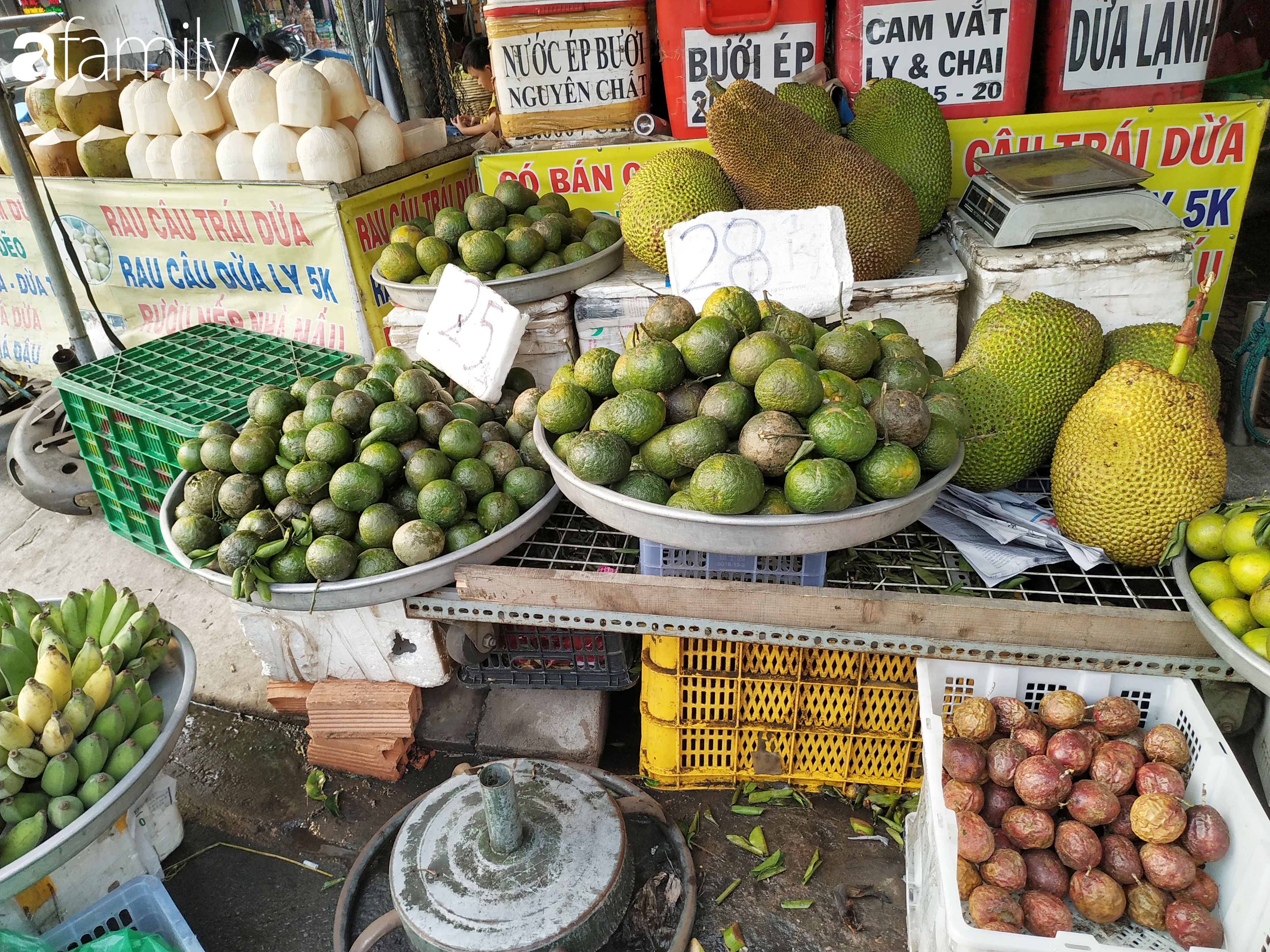 Cam sành ở đây được bán với giá chỉ từ 20 – 25 nghìn đồng/kg