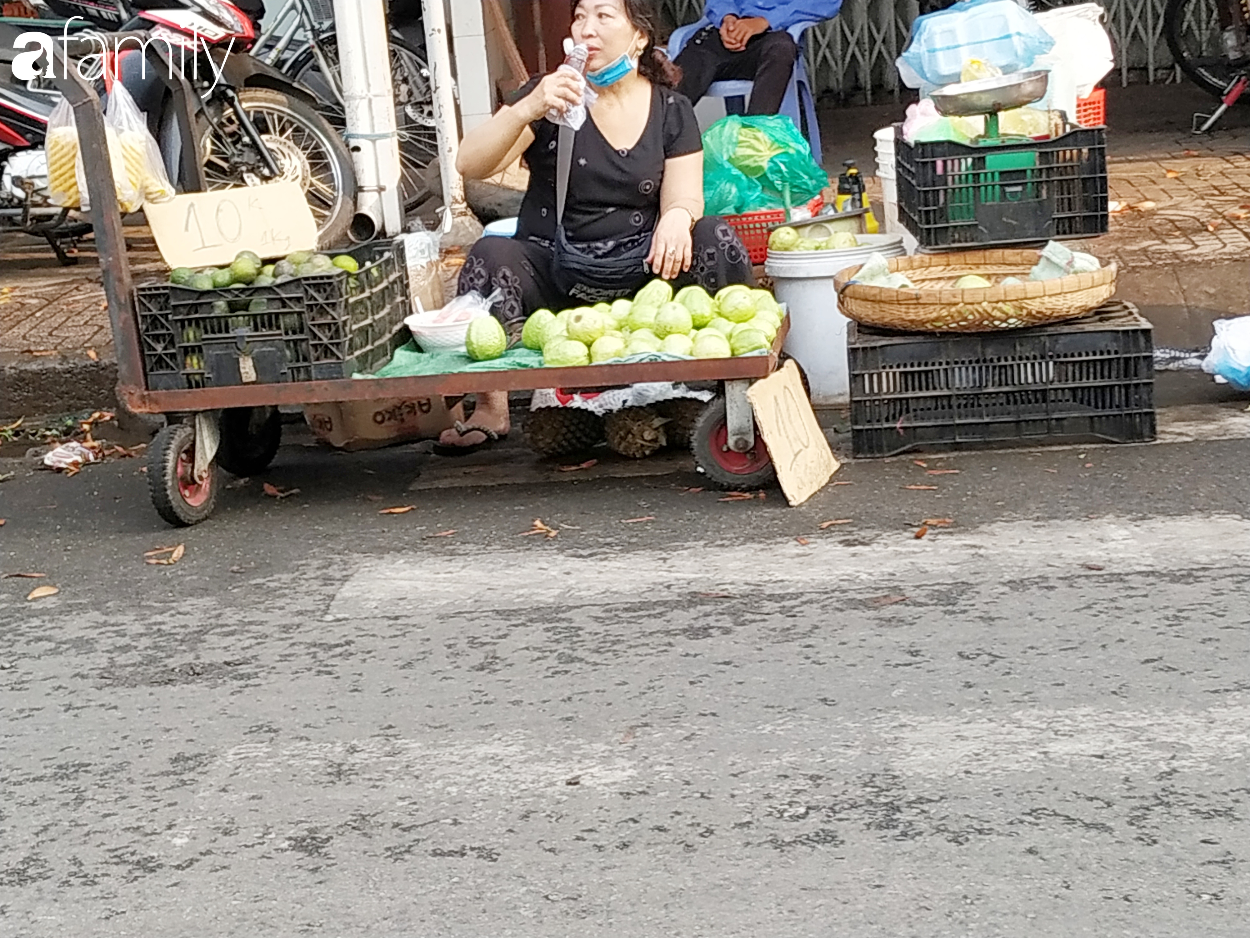 Ổi xanh có giá 10.000 đồng/kg, xoài xanh chỉ còn 15.000 đồng/kg