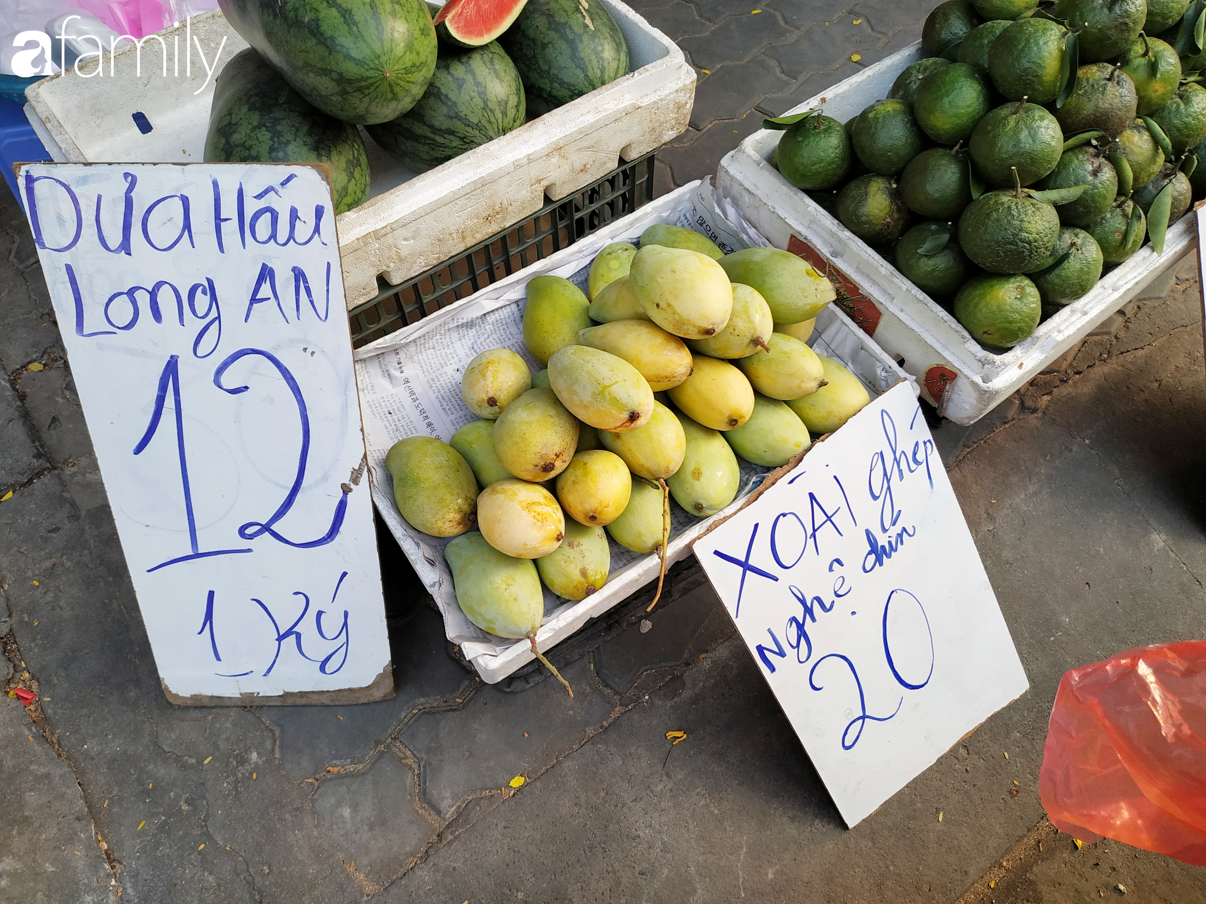 Xoài keo chỉ còn từ 15.000 – 20.000 đồng/kg, xoài ghép Nghệ An chỉ còn 20.000 đồng/kg