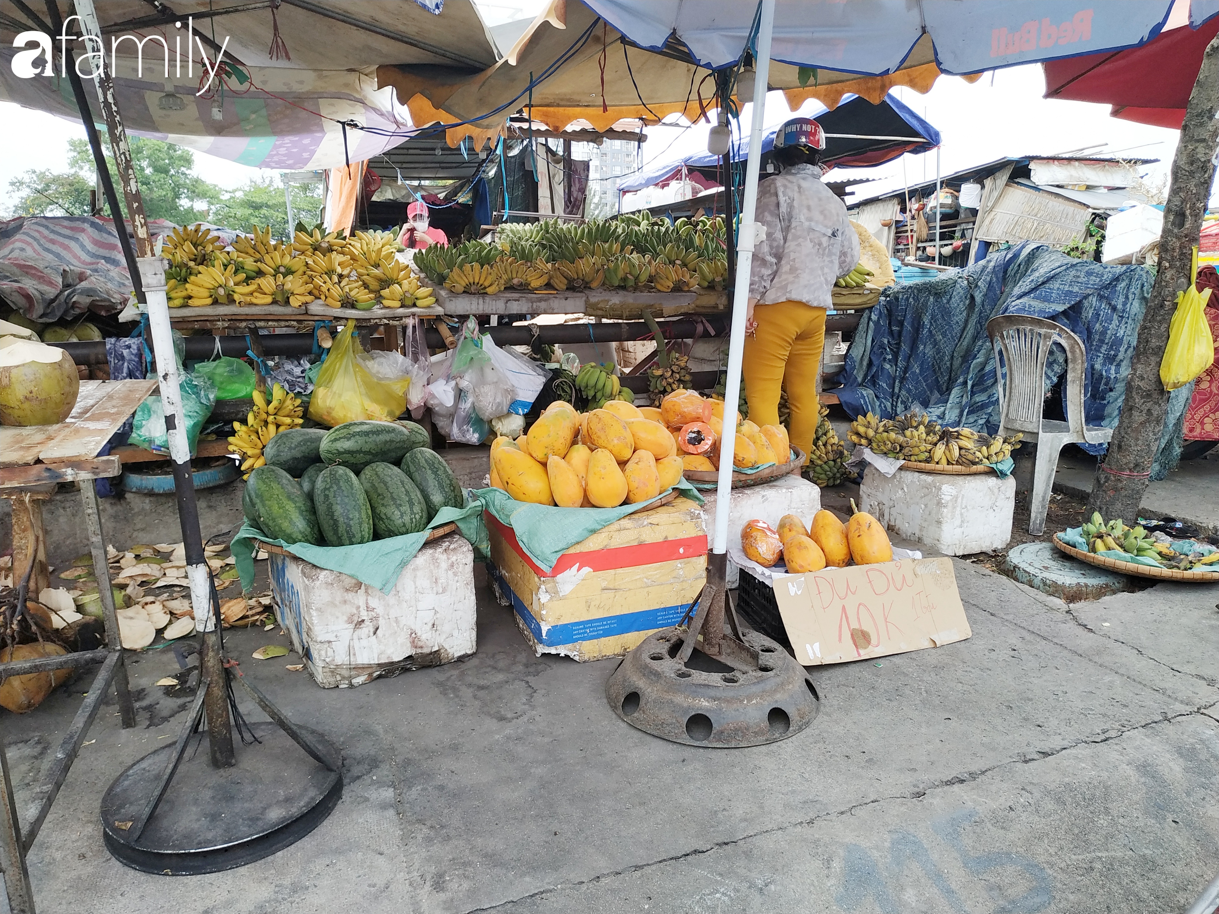 Đu đủ chỉ còn 10.000 đồng/trái. Trước đó, giá mặt hàng này rơi vào khoảng 15.000 – 20.000 đồng/trái.