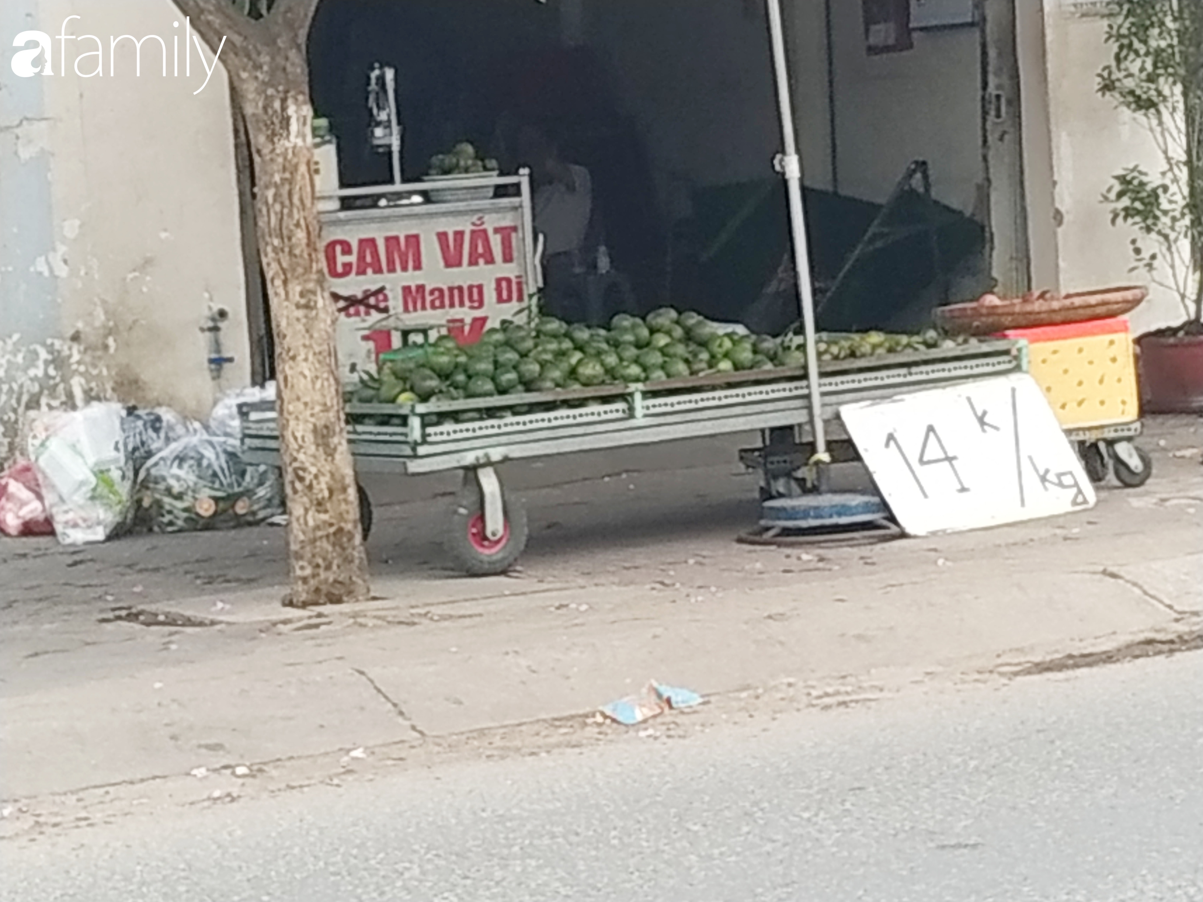 Cam sành giá chỉ còn từ 14.000 đồng/kg