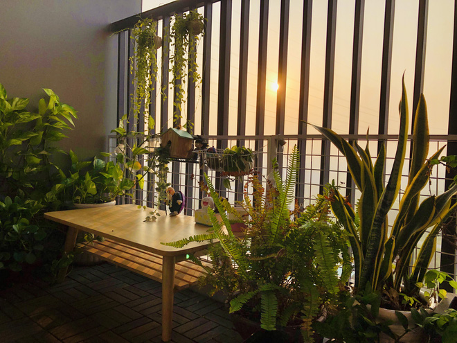 Cực chill khi chiều về