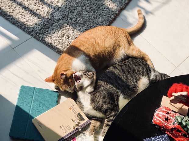 Góc nào cũng có thể sống ảo