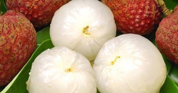 Bản thân quả vải rất tốt, nguy cơ bị ngộ độc chỉ khi nào ăn phải những quả bị nhiễm nấm Candida tropicalis. Ảnh minh họa