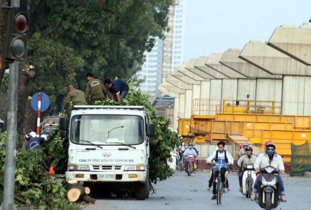 Ngoài việc trong quá trình thi công, dự án để xảy ra nhiều sự cố gây chết người thậm chí tại vị trí cạnh Bến xe Hà Đông (cũ) từng xảy ra sự cố sập giàn giáo ngày 28/12/2014. Hình ảnh trên được chụp vài tháng 1/2015 khi Hà Nội tiến hành chặt bỏ toàn bộ 2 hàng cây xà cừ trên đường Nguyễn Trãi để phục vụ thi công tuyến đường sắt.