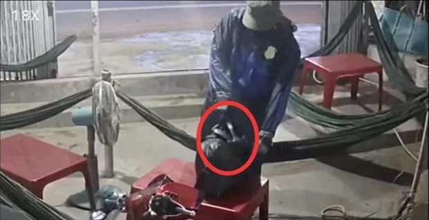 Hung thủ chuẩn bị sẵn búa trong túi để ra tay