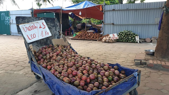 Đồng giá với mít mật, mặt hàng chanh leo cũng rất 