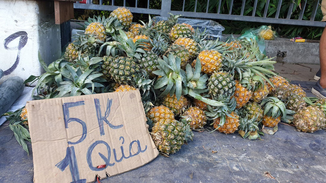 Theo ông Chính, mùa hè cũng là thời điểm của mặt hàng dứa, nên ngoài những quả to có giá bán từ 10.000 - 18.000 đồng/quả thì ông Chính chỉ bán những quả có kích thước nhỏ. 