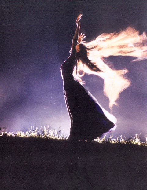 Fan hâm mộ của Dương Lệ Bình từng phản đối cô nhận vai Mai Siêu Phong vì sợ ảnh hưởng đến hình tượng trong sáng của nghệ sĩ múa nhưng cô đã biến điểm này thành lợi thế, cộng thêm vẻ đẹp cùng khả năng diễn xuất, nhân vật Mai Siêu Phong của Dương Lệ Bình đã chinh phục được khán giả.