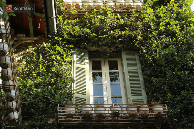 Toàn bộ mặt tiền của công trình được bao phủ bởi hệ thống cây leo chằng chịt. Theo chia sẻ, gia chủ của ngôi nhà là người yêu thích thiên nhiên, đam mê cây cối nên muốn tạo ra không gian sống lý tưởng ngay giữa thành phố chật chội, đông đúc.