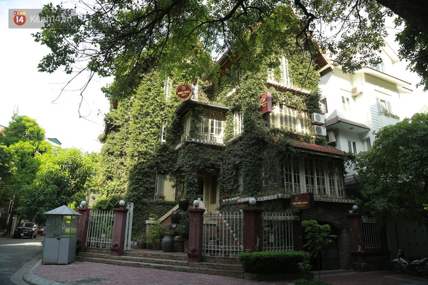 Hệ thống cây xanh bao quanh nhà xanh tốt quanh năm, trông không khác gì một rừng cây thu nhỏ.