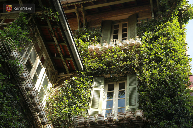 Bảo vệ ngôi nhà cho hay do cây leo nhà nên ngôi nhà thường xuyên được phun thuốc sinh học để diệt muỗi, rắn. Theo chủ nhân ngôi nhà, nhờ hình dáng độc đáo nên rất nhiều vị khách khi đi qua đều nán lại xin chụp ảnh.