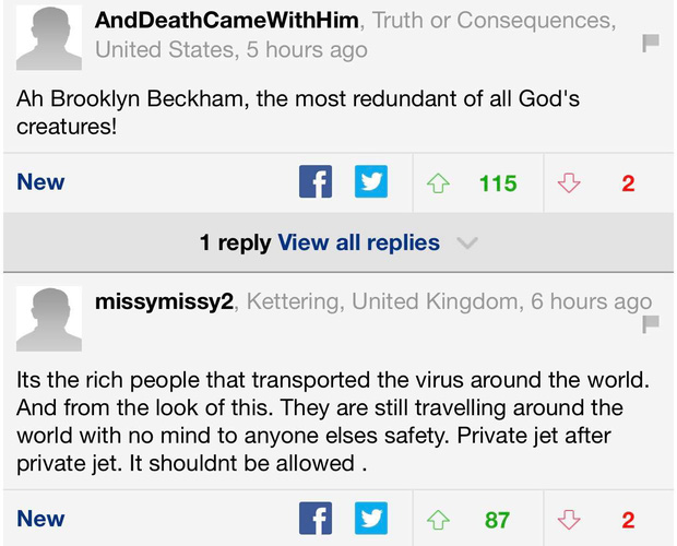 Những bình luận tiêu cực nhắm tới sự nghiệp riêng của Brooklyn khi đã trưởng thành có được lượt tương tác khá cao.