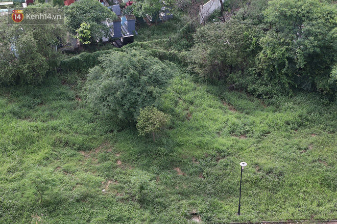 Loại côn trùng này đã trở thành nỗi ám ảnh thường trực, chúng ẩn nấp tại các bụi rậm, bóng đèn, nơi phát sáng... (Ảnh: Hội những người ở khu B - ký túc xá ĐH Quốc gia TP.HCM).