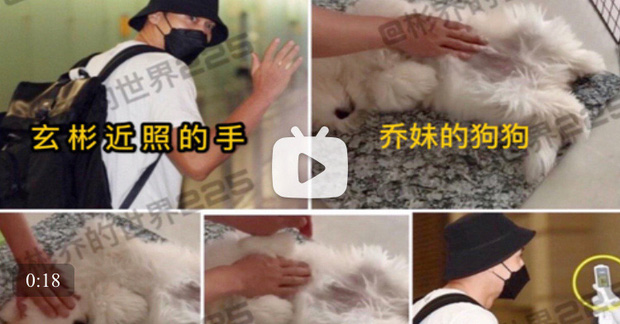 Dân tình soi bằng được cánh tay của 1 người trong clip về chú chó của Song Hye Kyo. Đây được cho là cánh tay của Hyun Bin