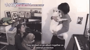 Nhờ tình yêu vô bờ dành cho động vật, Lee Hyori và nhạc sĩ Lee Sang Soon dần trở nên thân thiết hơn. Cả hai có cơ hội hợp tác chung trong 1 album có chủ đề về bảo vệ động vật và nhờ đó phát triển mối quan hệ tình cảm.