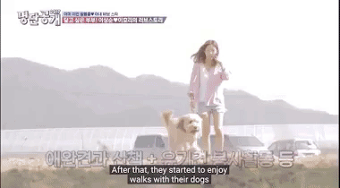 Những cuộc hẹn hò giữa Lee Hyori và Lee Sang Soon diễn ra cực giản dị và có những vị khách vô cùng đặc biệt. Đó chính là những chú thú cưng.