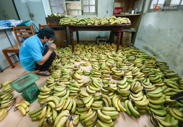 2 tấn chuối được người dân ủng hộ TCV để chăm sóc thú. Nhân viên đang chia phần ăn hàng ngày cho thú.