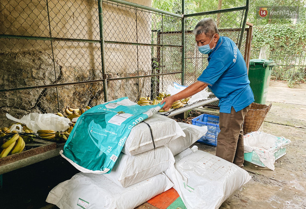 Đây là bắp ủ chua cho các loại thú móng guốc như hươu, nai,...