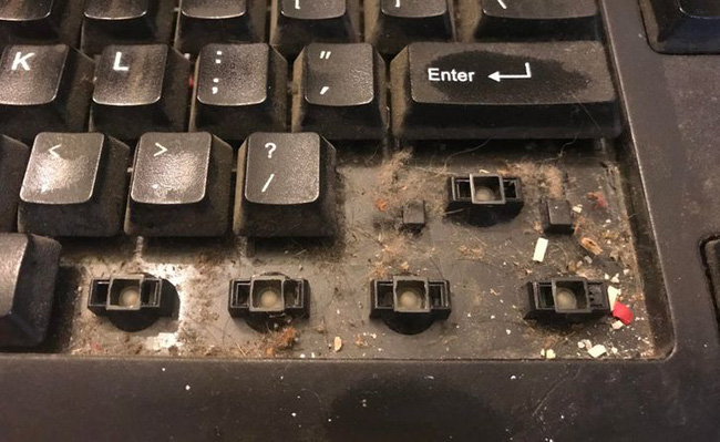 Tay bẩn chưa rửa rồi bấm bàn phím sẽ khiến nó tích tụ vi khuẩn nhiều hơn mà thôi.