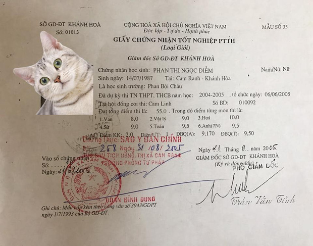 Bảng điểm toàn loại ưu của Phan Ngọc Diễm