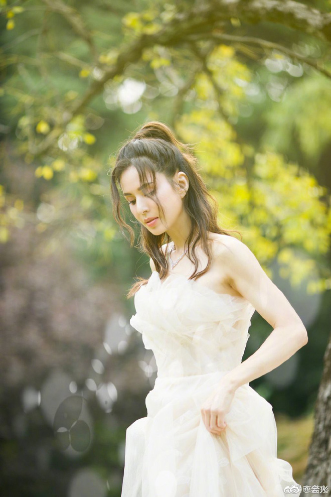 Ngày nay, nhan sắc ở tuổi 54 của mỹ nhân họ Lý còn khiến công chúng sửng sốt hơn