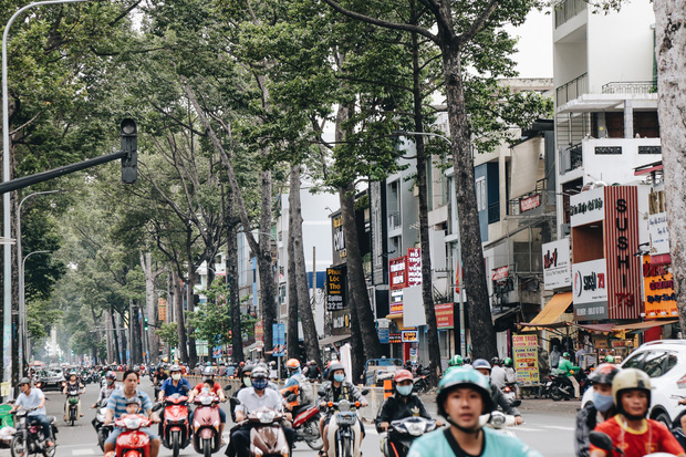 Trên đường Nguyễn Tri Phương vẫn còn một số cây xanh có nhánh nhoài ra đường, tiềm ẩn nguy cơ bị gãy khi mưa gió.