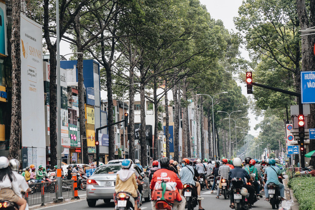 Tuy nhiên đường 3/2 vẫn còn nhiều cây vẫn có tán rộng, nhoài ra đường.