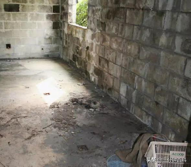 Một trong những nơi trú ẩn của Tatsuya trong quá trình hắn chạy trốn.