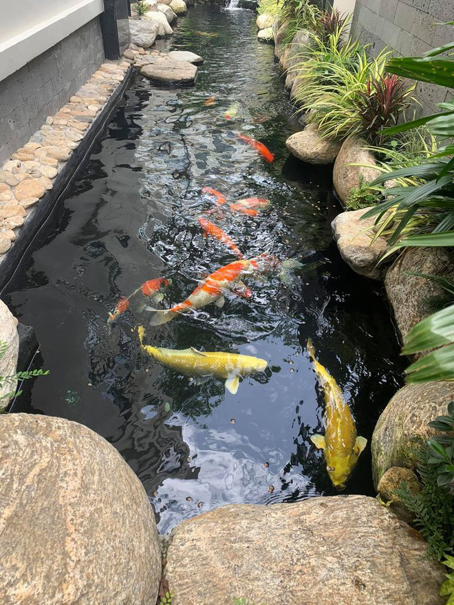 Căn biệt thự được cho là có giá trị không hề nhỏ.