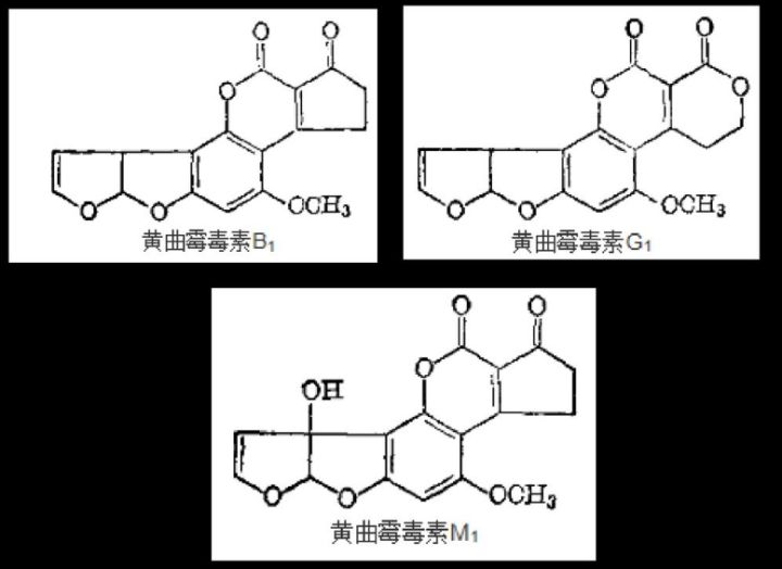 Hiện nay, khoa học đã phát hiện ra khoảng 20 loại aflatoxin, được đặt tên là B1, B2, G1, G2, M1, M2, GM, P1, Q1...