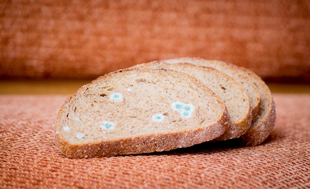 Aflatoxin là một chất gây ung thư mạnh, có thể ảnh hưởng đến nhiều bộ phận của cơ thể, trong đó gan là cơ quan gây ung thư nhiều nhất.