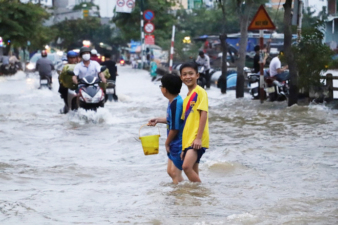 Nhiều em nhỏ xách xô đi bắt cá khi triều cường lên cao