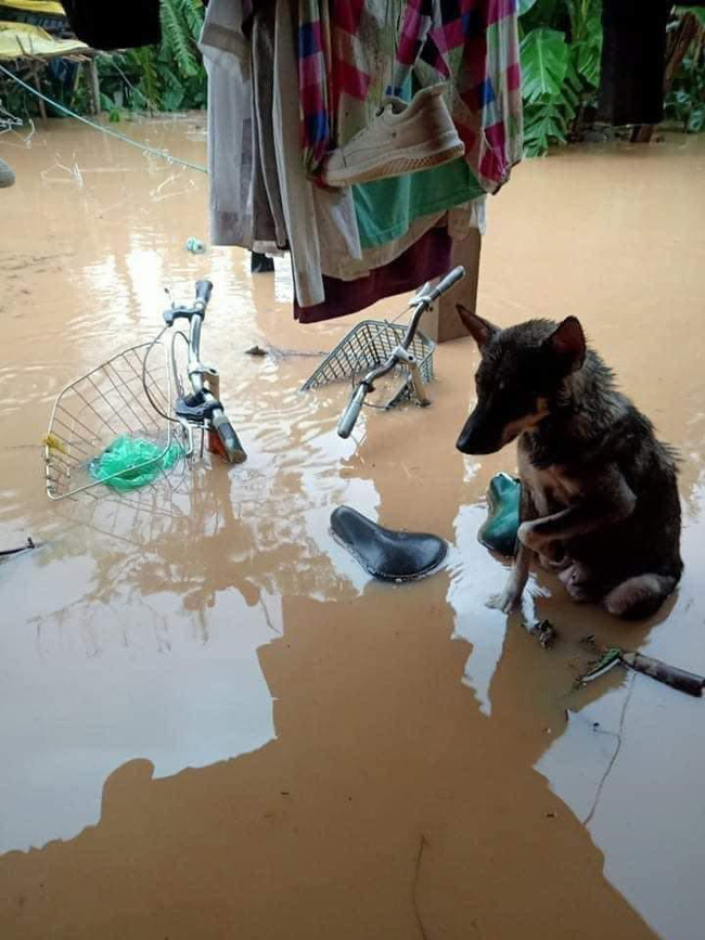 Biết làm sao đây?