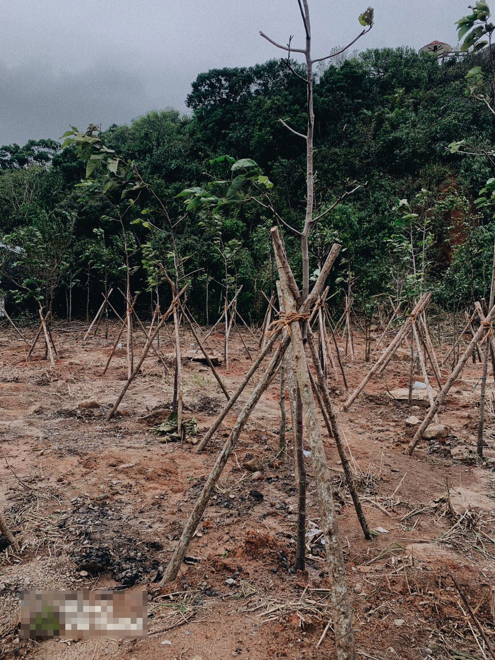 Những hình ảnh tại Lâm Đồng và Nha Trang.