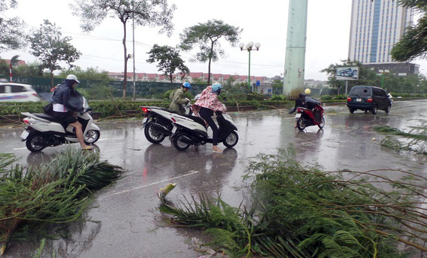 Bão gây gió mạnh quật gãy nhiều cây cối, khiến người điều khiển xe máy loạng choạng, phải dắt bộ (Ảnh: Zing News)