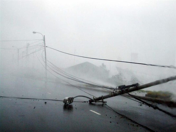 Đường dây điện trên đường Duy Tân, quận Hải Châu bị bão số 6 cuốn đổ lúc 7 giờ ngày 1/10/2006 (Ảnh: TTXVN)