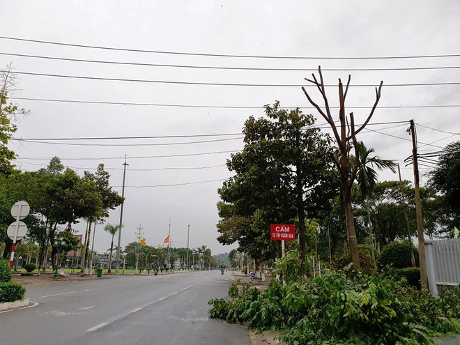 Việc cắt tỉa cây xanh cũng được gấp rút thực hiện