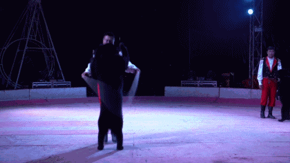 Chú gấu bắt phải nhảy dây bằng 2 chân.