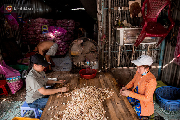Xưởng làm hành tỏi của anh Sang cũng bị ảnh hưởng của dịch bệnh. Sau một thời gian tạm nghỉ, xưởng đã hoạt động trở lại để tạo công ăn việc làm cho nhiều chị em công nhân
