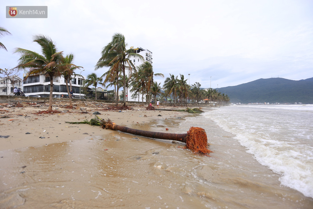 Nhiều cây cối và công trình ven biển bị sóng biển và gió bão tàn phá, hư hỏng nghiêm trọng