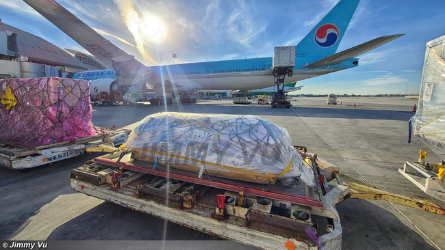 Hình ảnh linh cữu cố nghệ sĩ Chí Tài được đưa xuống lúc máy bay hạ cánh Los Angeles. (Nguồn: Jimmy Vu)