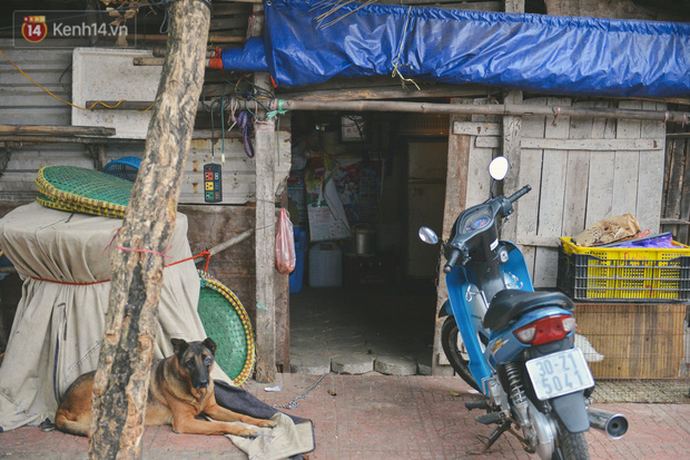 Những căn nhà tạm bợ, xập xệ mà cư dân 