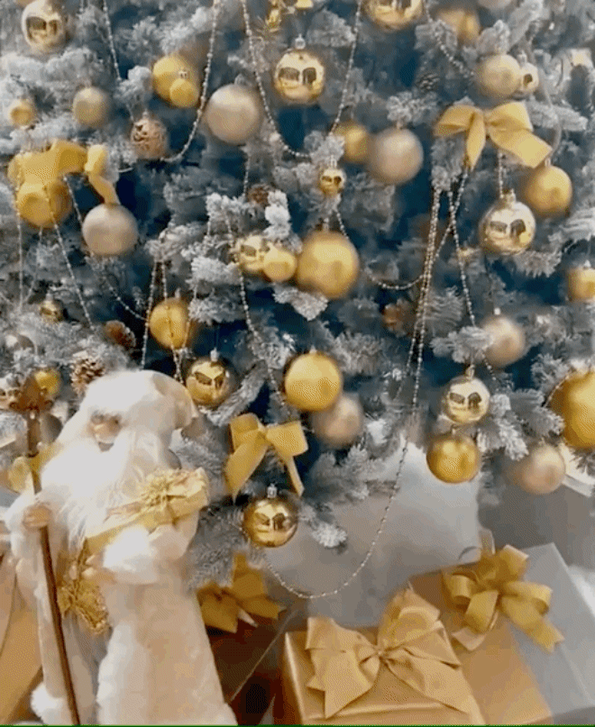 Cận cảnh cây thông Noel đắt đỏ của Bảo Thy