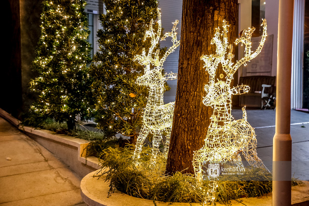 Những chú tuần lộc đơn giản nhưng xinh xắn