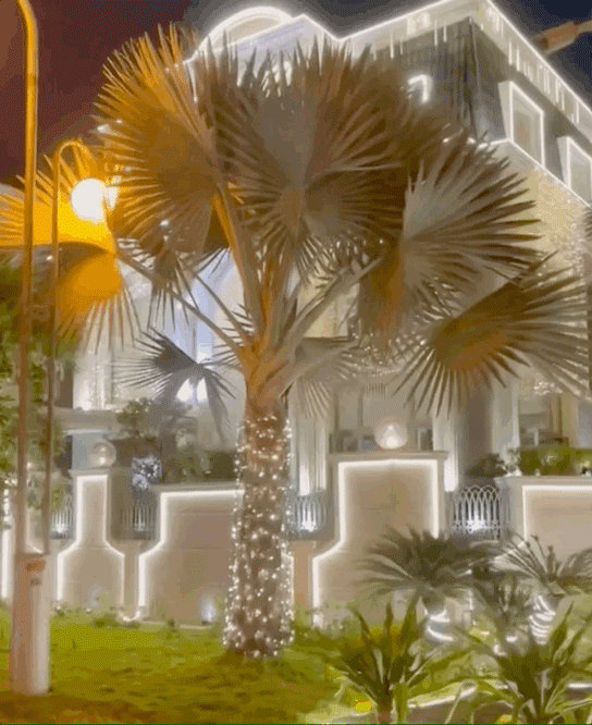 Cận cảnh cơ ngơi triệu đô được Bảo Thy trang hoàng Noel