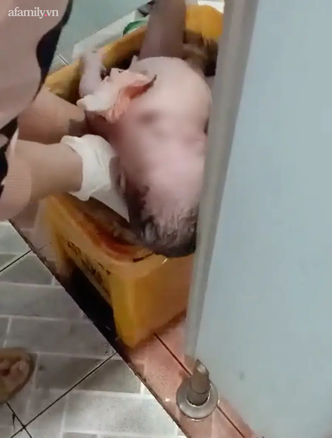 Bé trai được nhân viên BV lấy ra từ thùng rác.